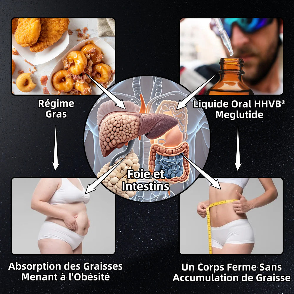 HHVB®  ✅ GLP-1 Moringa Gouttes Minceur & Énergisantes (Brûleur de graisses de qualité alimentaire – Développé par The Obesity Society)