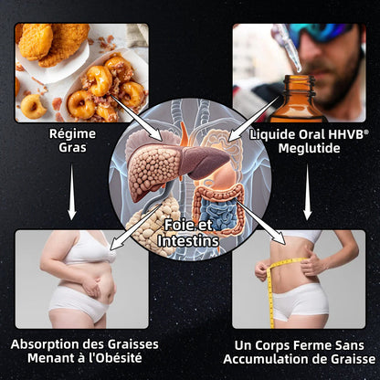 HHVB®  ✅ GLP-1 Moringa Gouttes Minceur & Énergisantes (Brûleur de graisses de qualité alimentaire – Développé par The Obesity Society)