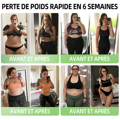HHVB®  ✅ GLP-1 Moringa Gouttes Minceur & Énergisantes (Brûleur de graisses de qualité alimentaire – Développé par The Obesity Society)